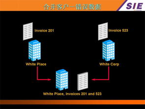 Oracle ERP銷售管理系統(tǒng)模塊標準培訓文檔